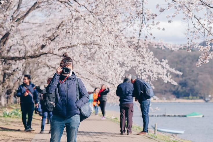 Woman holding a camera, walking along a lakeside path with cherry blossoms in Japan for a travel insurance page