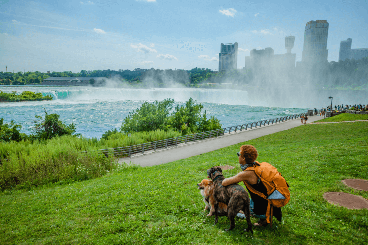 Man crouching with two dogs on the grass in front of Niagara Falls, with city skyscrapers in the right background.