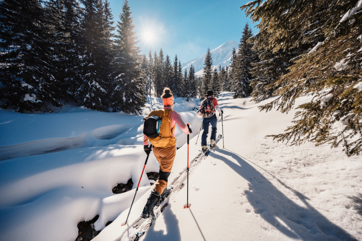 Two people ski touring in a winter forest, walking on skis with backpacks, and ski poles