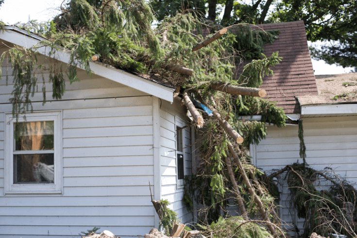 A home that has been damaged by fallen trees due to a storm.