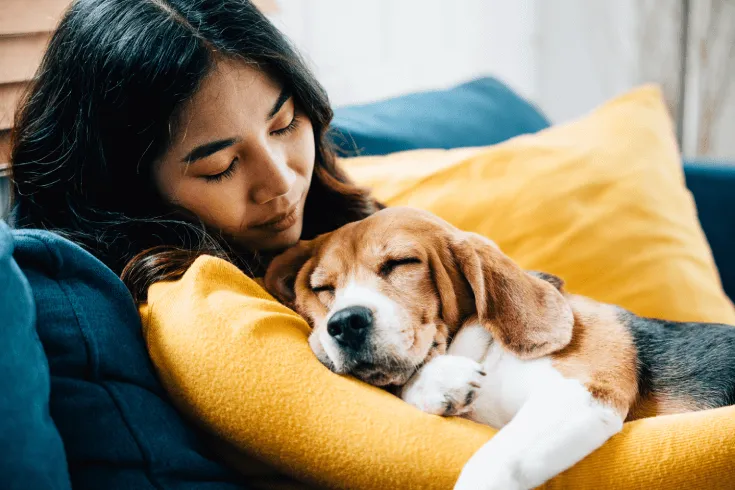 An Asian woman naps on her couch while cuddling her sleeping beagle dog.