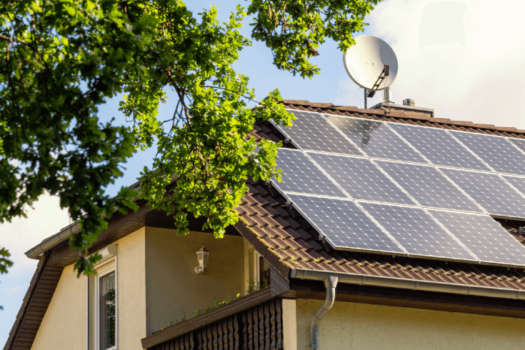 View of tree and roof with solar panels and dish