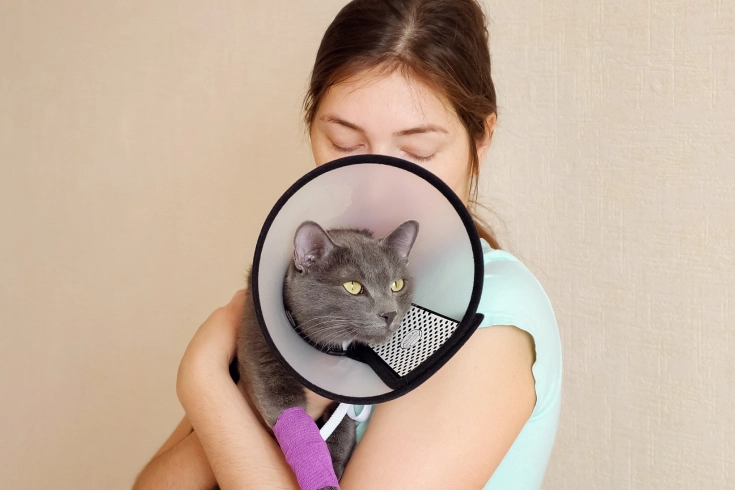 A woman hugs her pet cat. The cat has a bandage on one forearm and a plastic cone around its neck