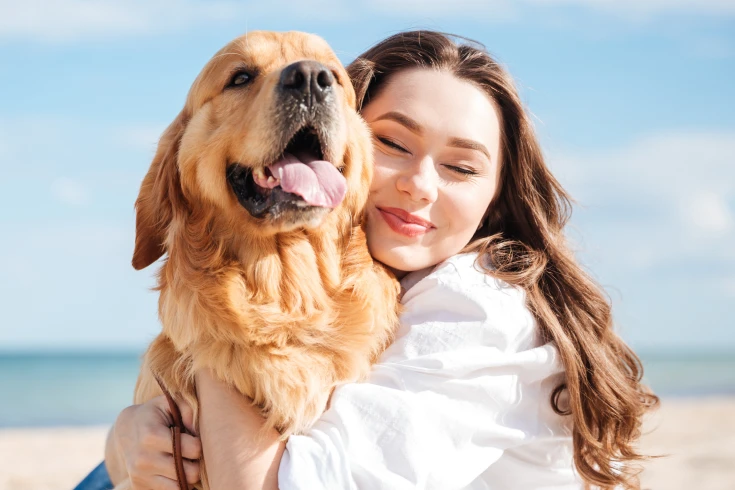A dog whose owner pays for pet insurance