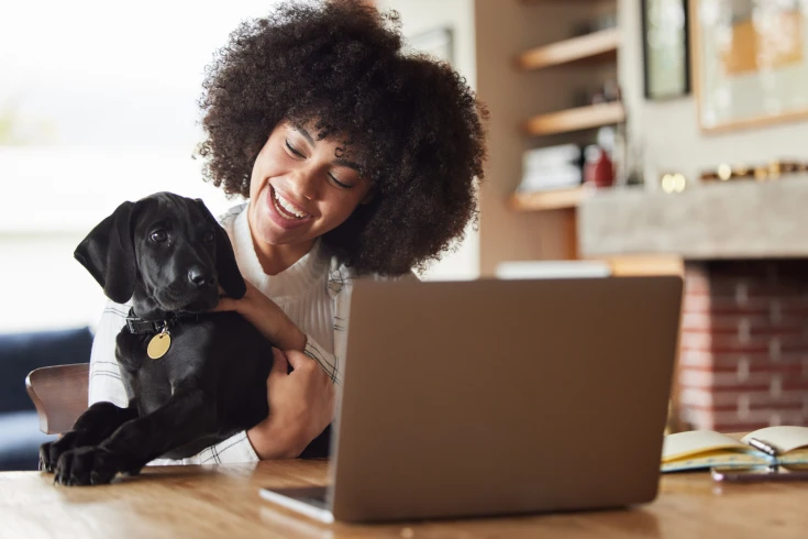Woman comparing and reviewing her dog’s pet insurance policy online, in front of a laptop