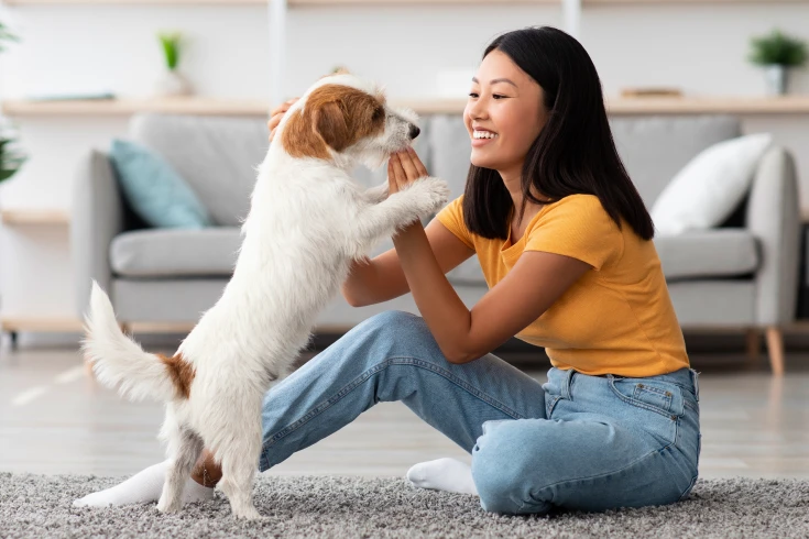 Pet owner playing with her dog in her lounge knowing that pet insurance has got their back