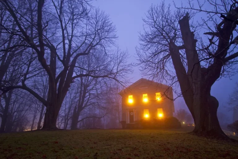 Halloween Horror Houses