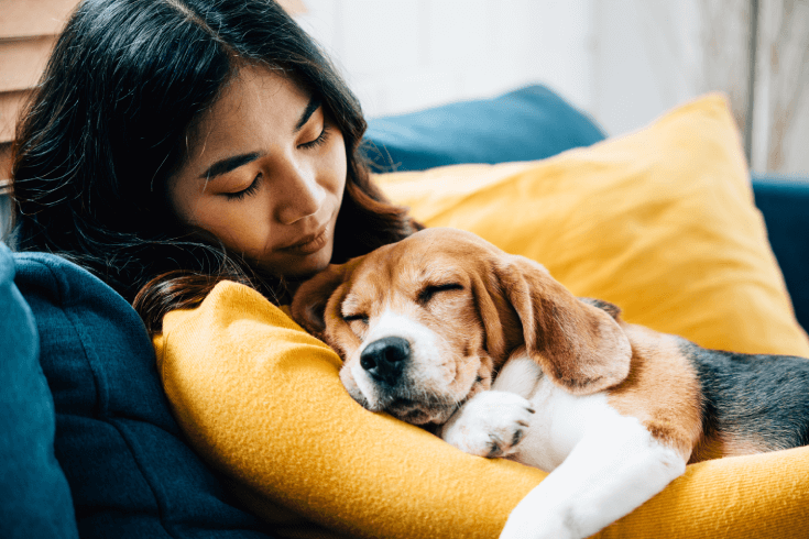 An Asian woman naps on her couch while cuddling her sleeping beagle dog.