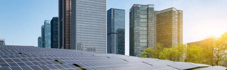 Which Cities are Leading the Green Revolution?